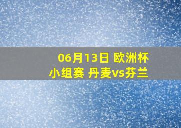 06月13日 欧洲杯小组赛 丹麦vs芬兰